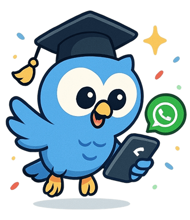 whatsapp owl